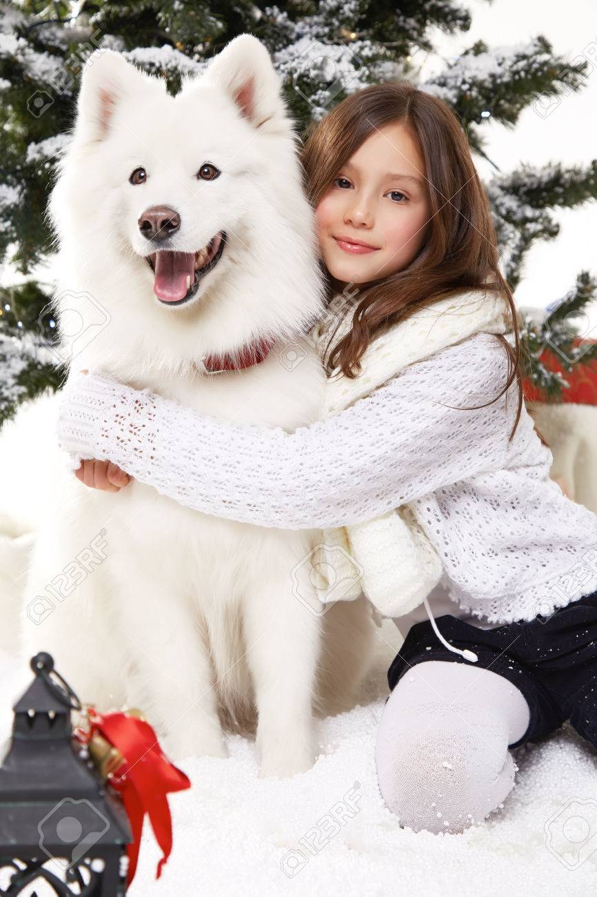 白い冬のセーターで長髪の美しい少女クリスマス ツリーに雪の中で座っているし 大きな白い犬シベリアン ハスキー ギフト新年ろうそくとランタンのための包含 の写真素材 画像素材 Image