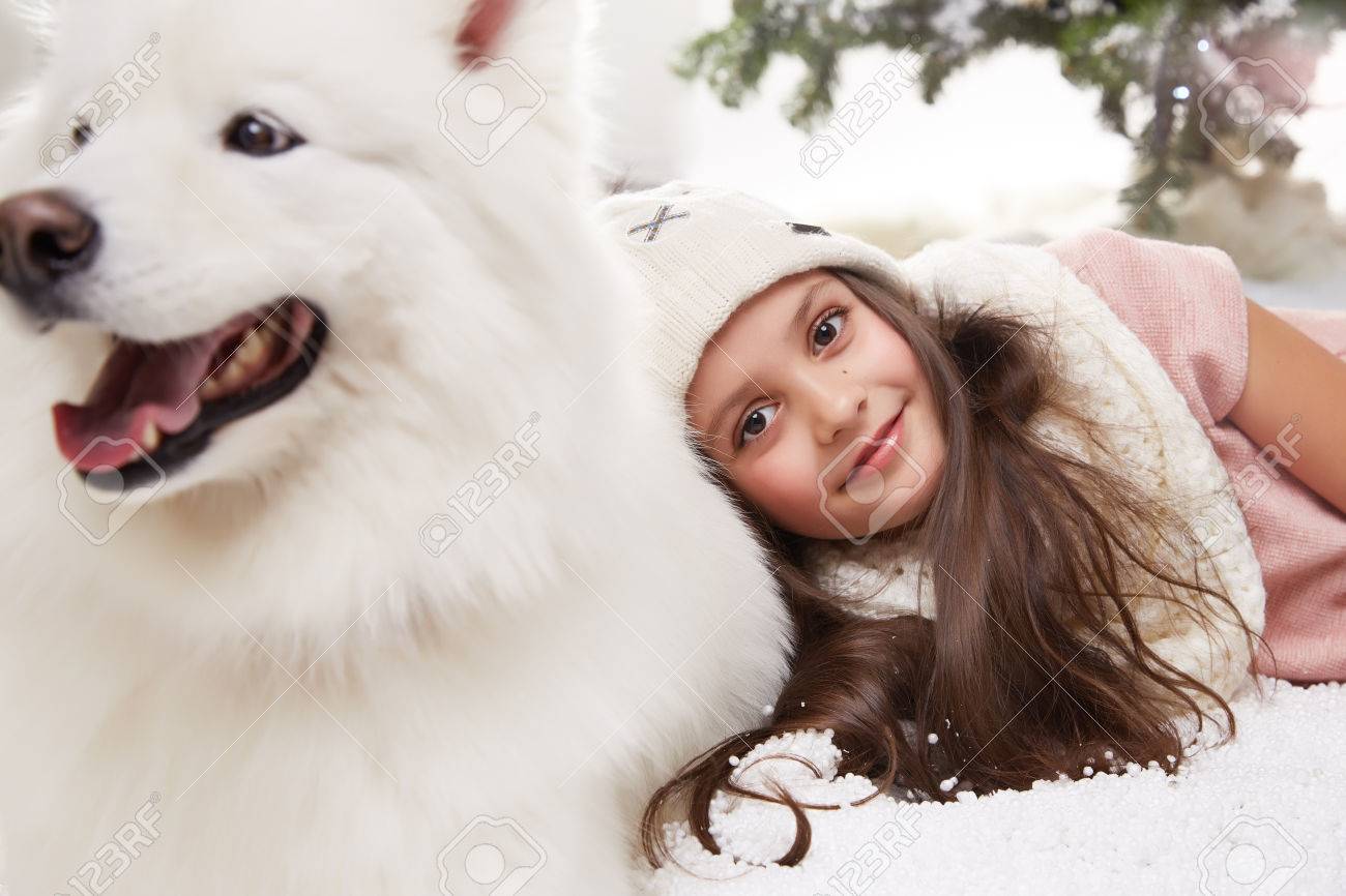 白い冬のセーターで長髪の美しい少女クリスマス ツリーに雪の中で座っているし 大きな白い犬シベリアン ハスキー ギフト新年ろうそくとランタンのための包含 の写真素材 画像素材 Image