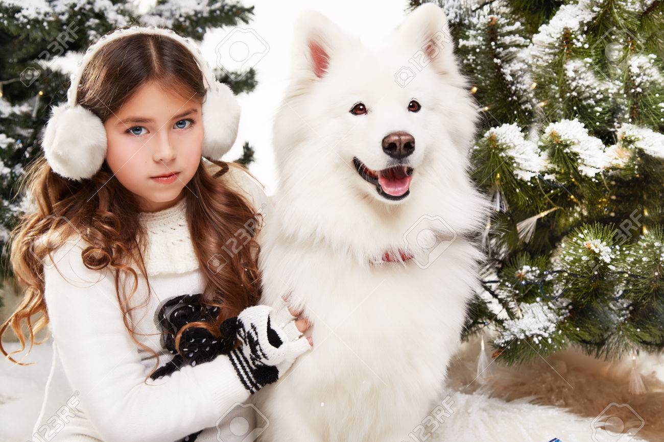 Long haired white husky Clearance