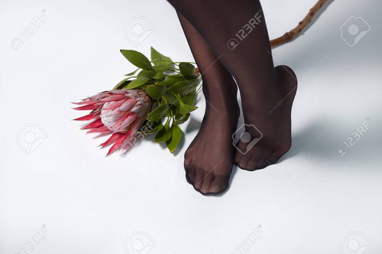 Perfect Tan Pantyhose Perfect Tan Pantyhose