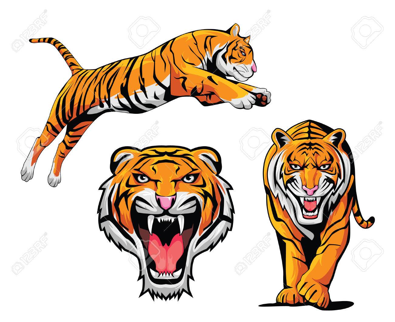 Ilustracion Tiger Set Ilustraciones Vectoriales Clip Art Vectorizado Libre De Derechos Image