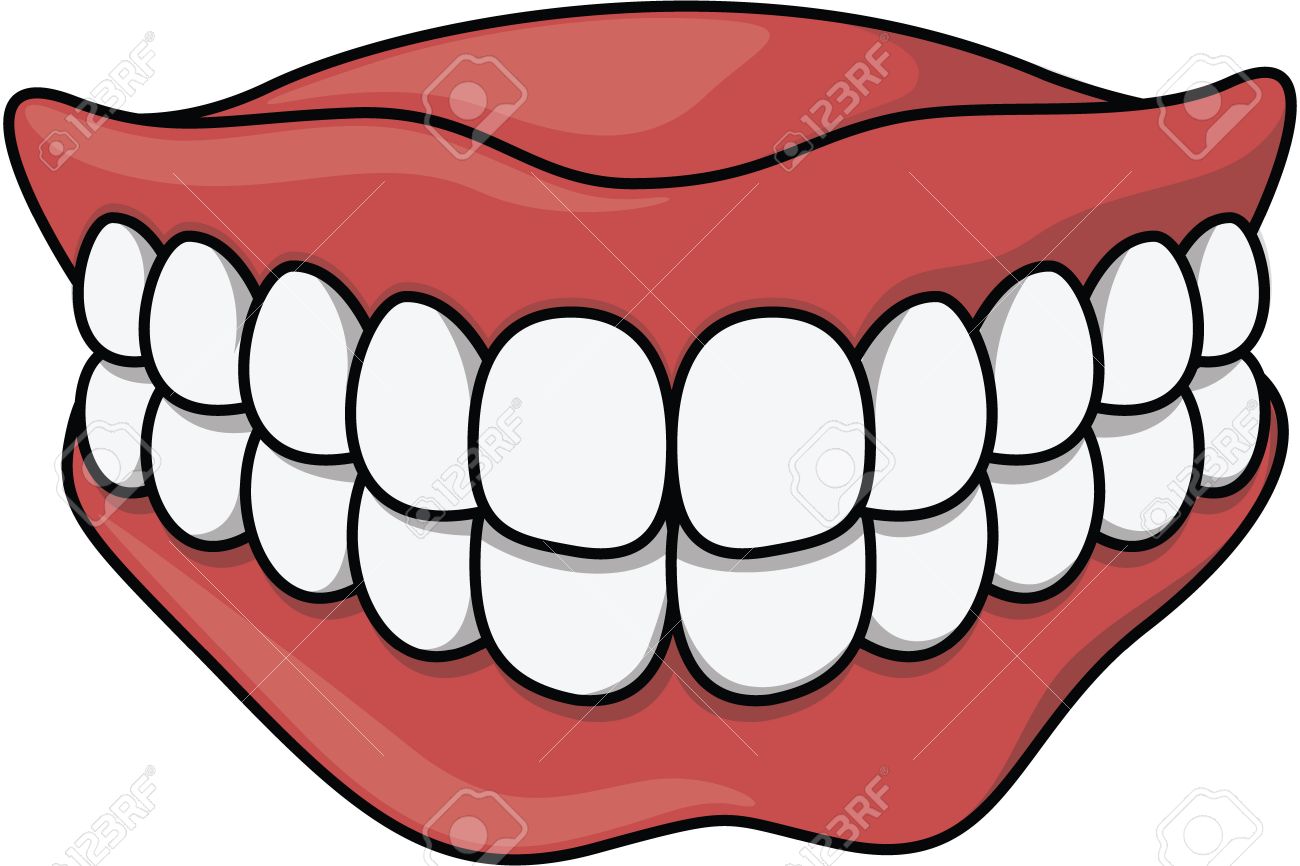 Dentures Cartoon Illustration Royalty Free Cliparts Vetores E Ilustracoes Stock Image 51003501