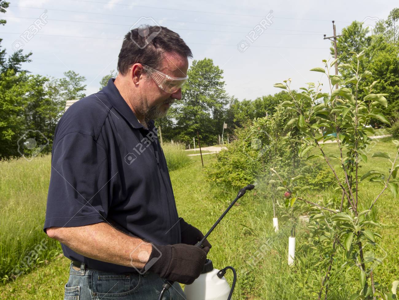 A Organic Farmer Spraying A Apple Tree With Some Organic Spray Stock Photo Picture And Royalty Free Image Image 44414145 A Organic Farmer Spraying A Apple Tree With Some Organic Spray Stock Photo Picture And Royalty Free Image Image 44414145