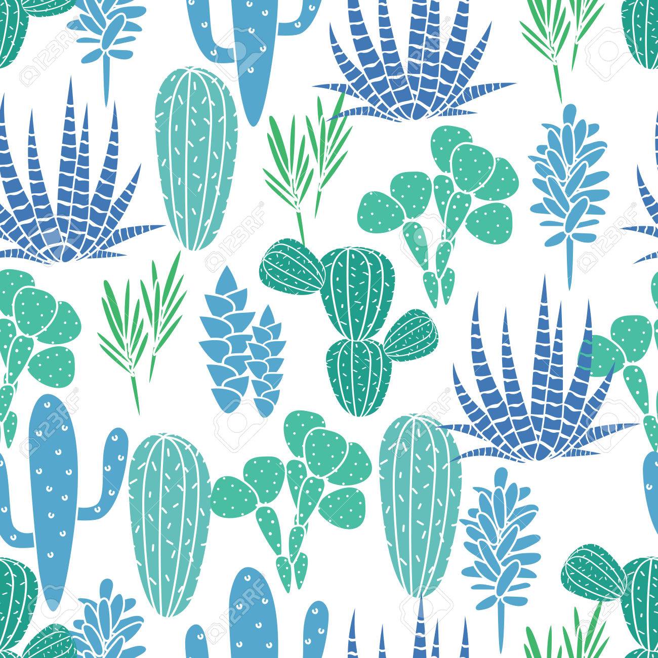 succulents cacti plant vector