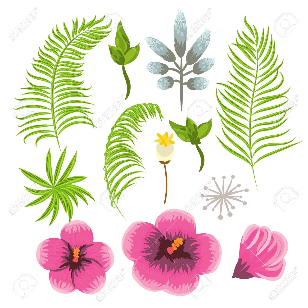 Set Of Exotic Tropical Flowers And Palm Leaves. Jungle Flora Vector Clip Art.  Royalty Free SVG, Cliparts, Vectors, and Stock Illustration. Image 54454273., image size:1300x1300