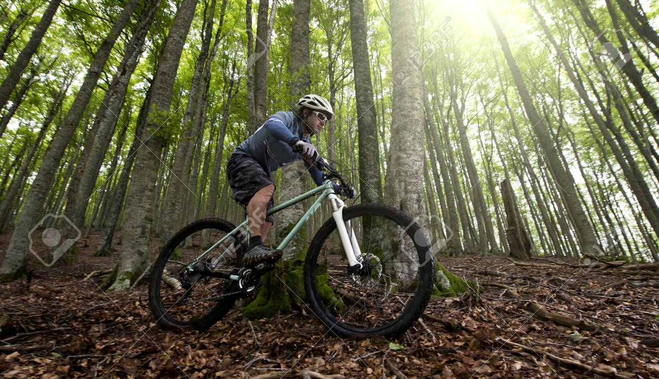 freestyle mountain biking