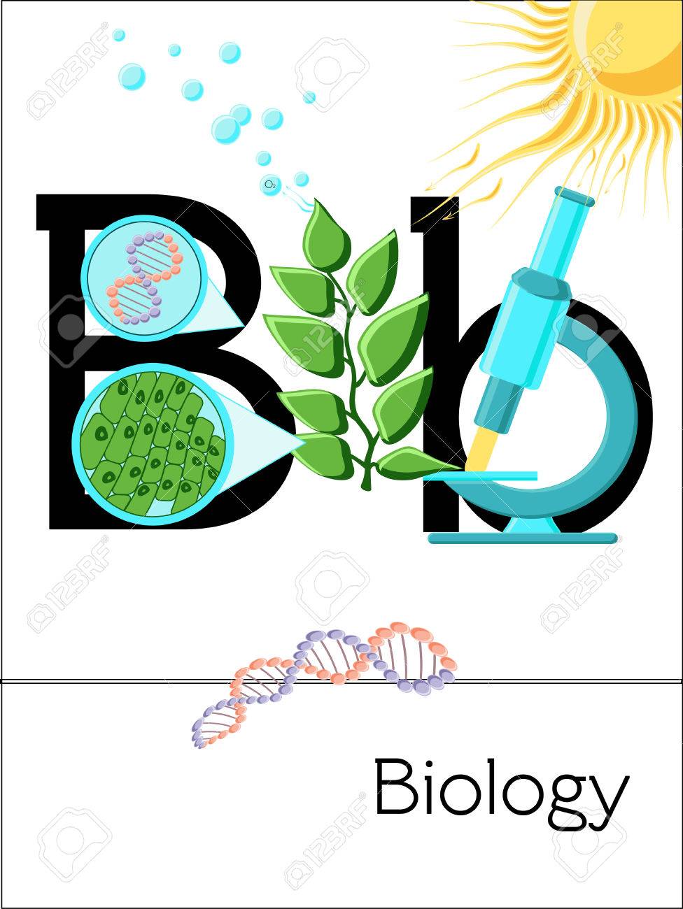 flash card letter b is for biology science alphabet for kids alphabet letters flash cards