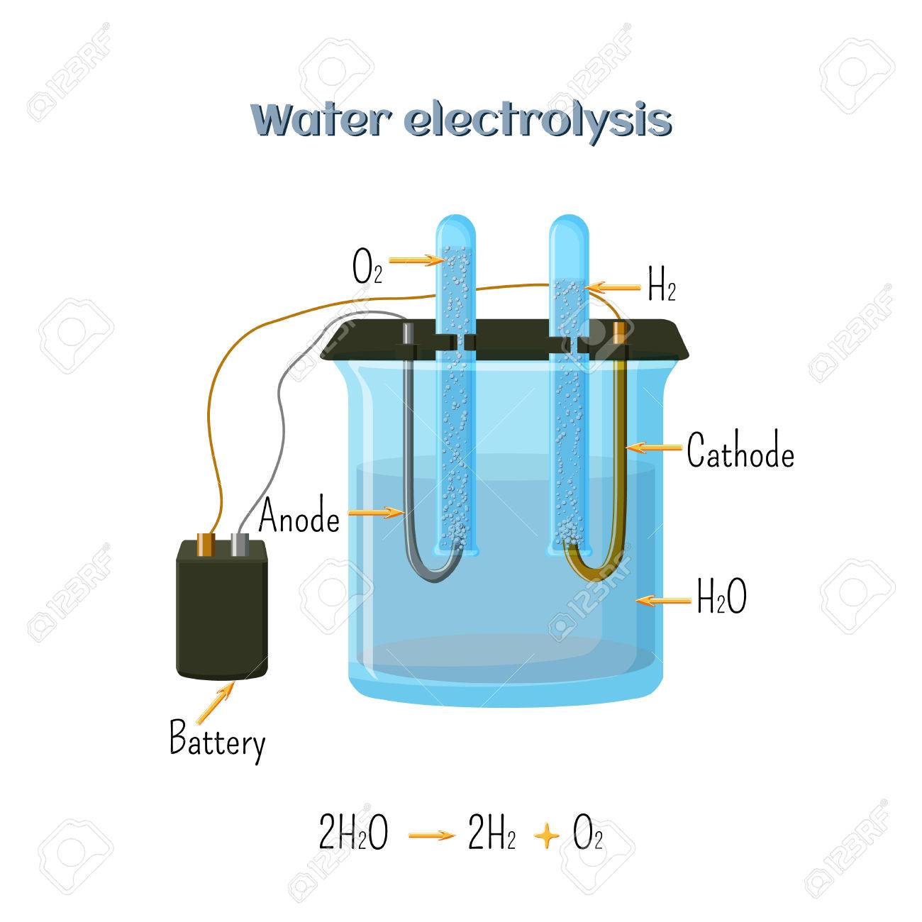 electrolysis of water
