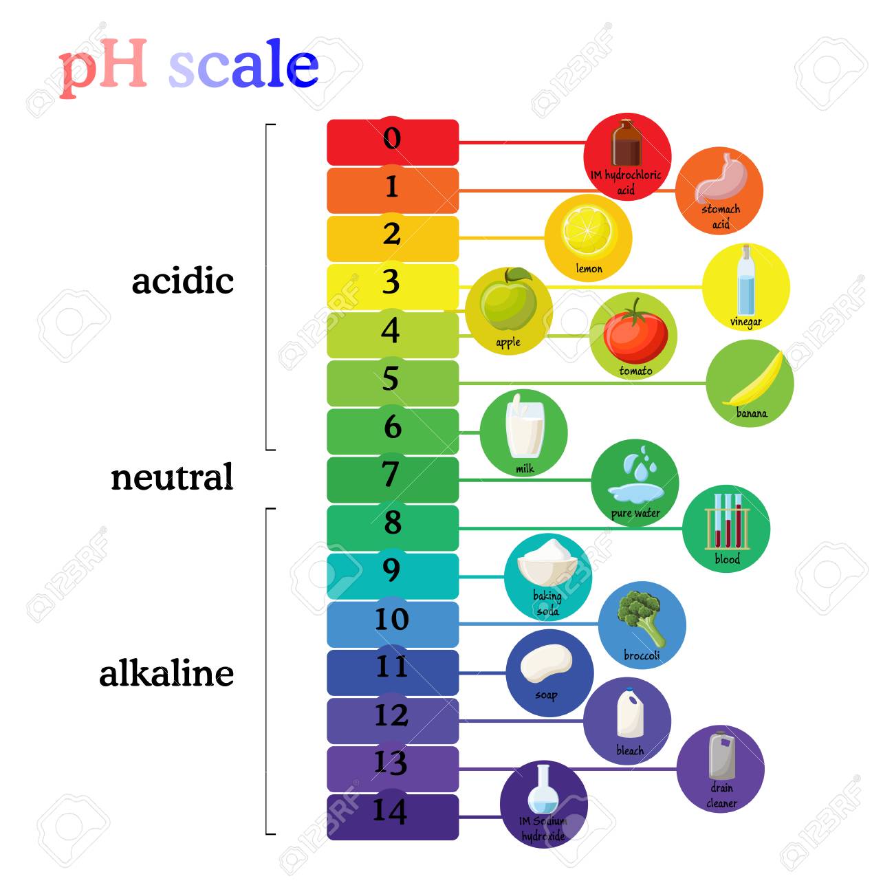 Litmus Paper Color Chart