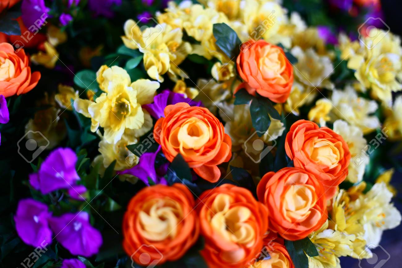 etiam-dictum-ipsum-a-felis