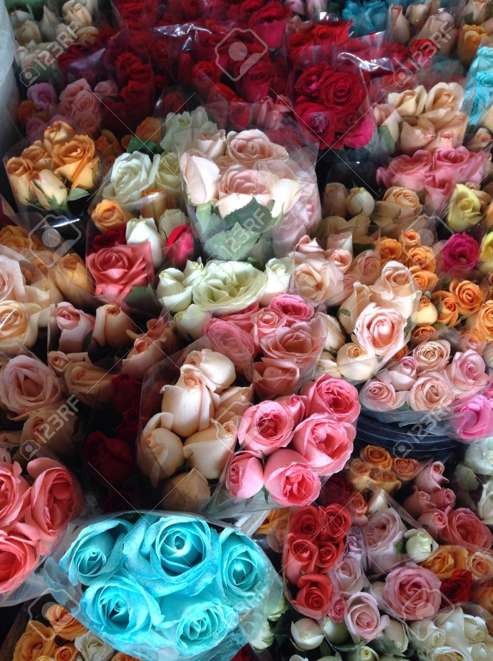 カラフルなバラの花束 の写真素材 画像素材 Image