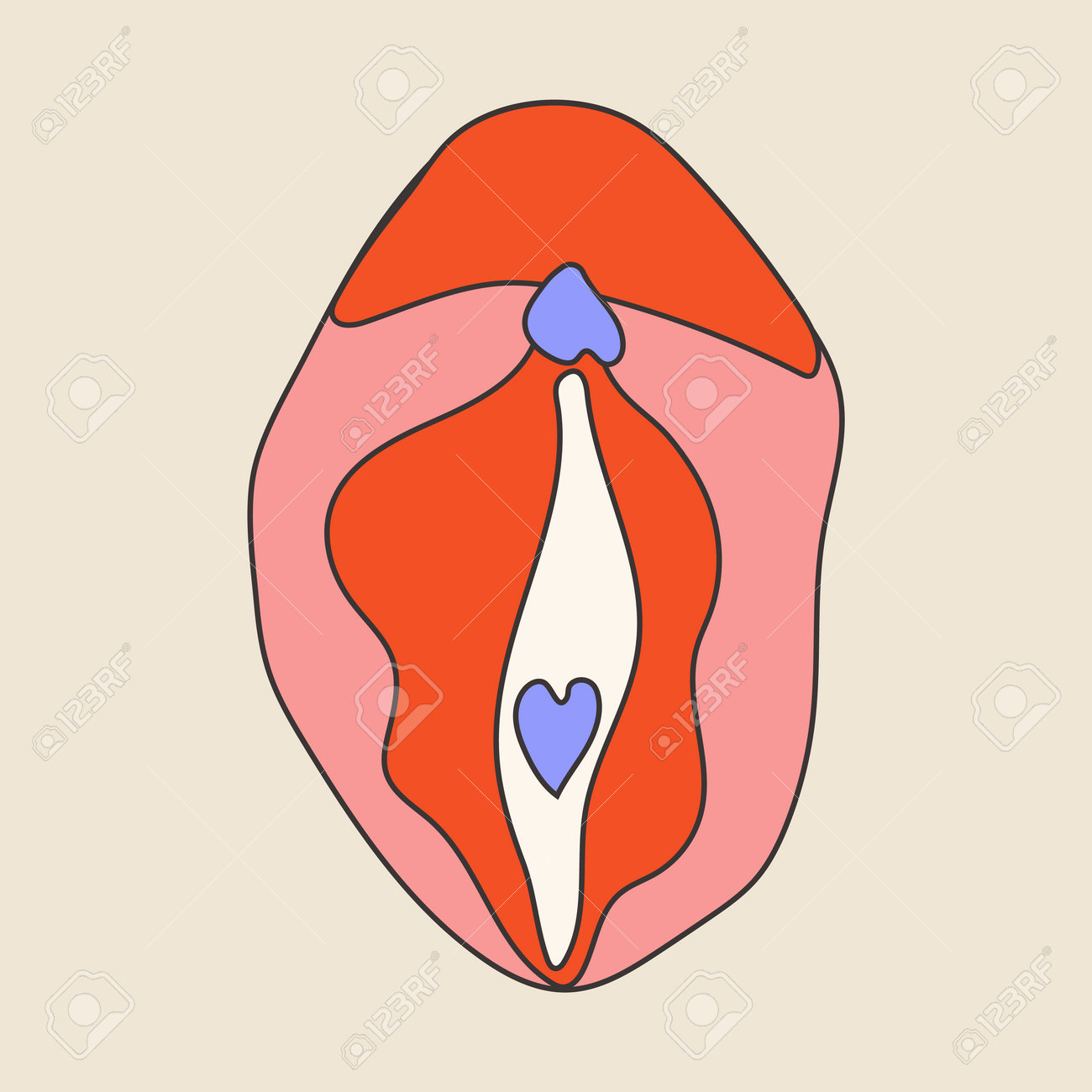 Beauty Female Reproductive System. Vulva. Illustrator A Vagina. Royalty  Free SVG, Cliparts, Vectors, and Stock Illustration. Image 208913604.