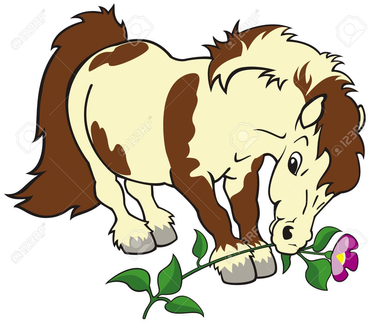 Cheval Poney Shetland Avec Fleur Image De Dessin Anime Isole Sur Fond Blanc Illustration Pour Enfants Image Pour Petits Enfants Clip Art Libres De Droits Vecteurs Et Illustration Image