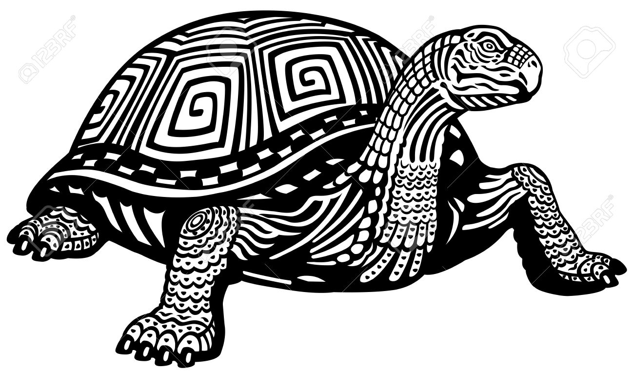カメの黒と白のイラストのイラスト素材 ベクタ Image