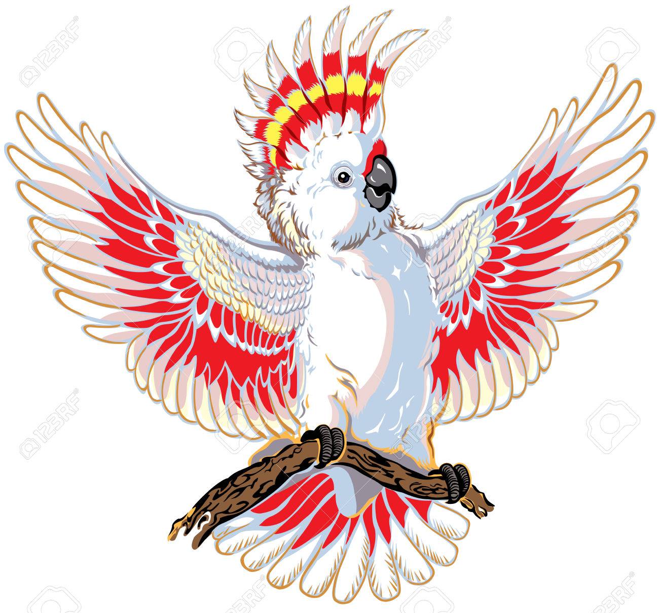 オウムはオウムに孤立した白い背景 のイラスト素材 ベクタ Image