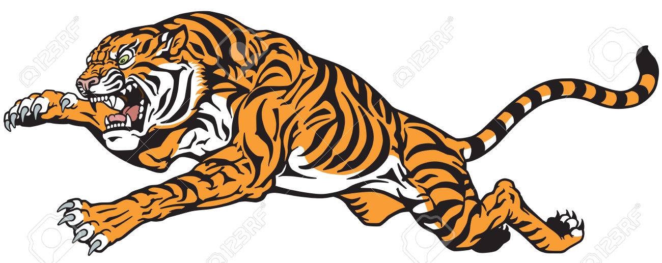tiger jump angry big cat tattoo vector isolated on white royalty