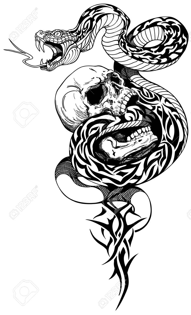 Snake Coiled Around The Broken Human Skull. Black And White Tribal Tattoo.  Vector Illustration Royalty Free SVG, Cliparts, Vectors, and Stock  Illustration. Image 145028324., image size:789x1300