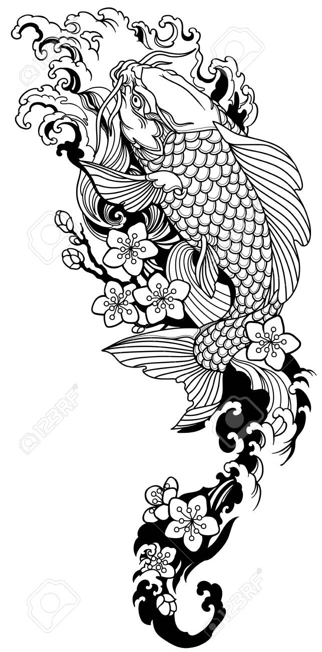 Koi Carp Swimming Upstream And Sakura Blooming. Japanese Gold Fish With  Water Waves And Cherry Tree Flowers Blossom. Tattoo . Black And White  Vector Illustration Royalty Free SVG, Cliparts, Vectors, and Stock, image size:643x1300