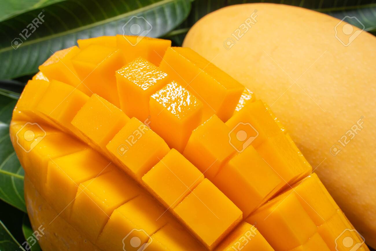 Mango, tropical fruit, in a bamboo wooden sieve basket on green leaf background, top view, full frame, beautiful, ripe harvest design concept. - 144534364 Mango, tropical fruit, in a bamboo wooden sieve basket on green leaf background, top view, full frame, beautiful, ripe harvest design concept. - 144534364