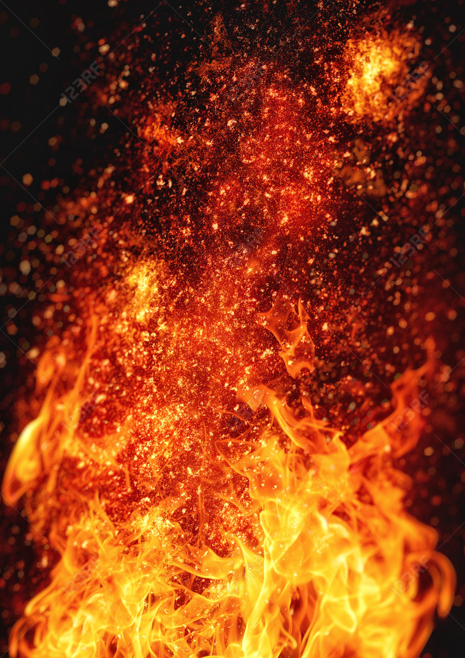 etiam-dictum-ipsum-a-felis