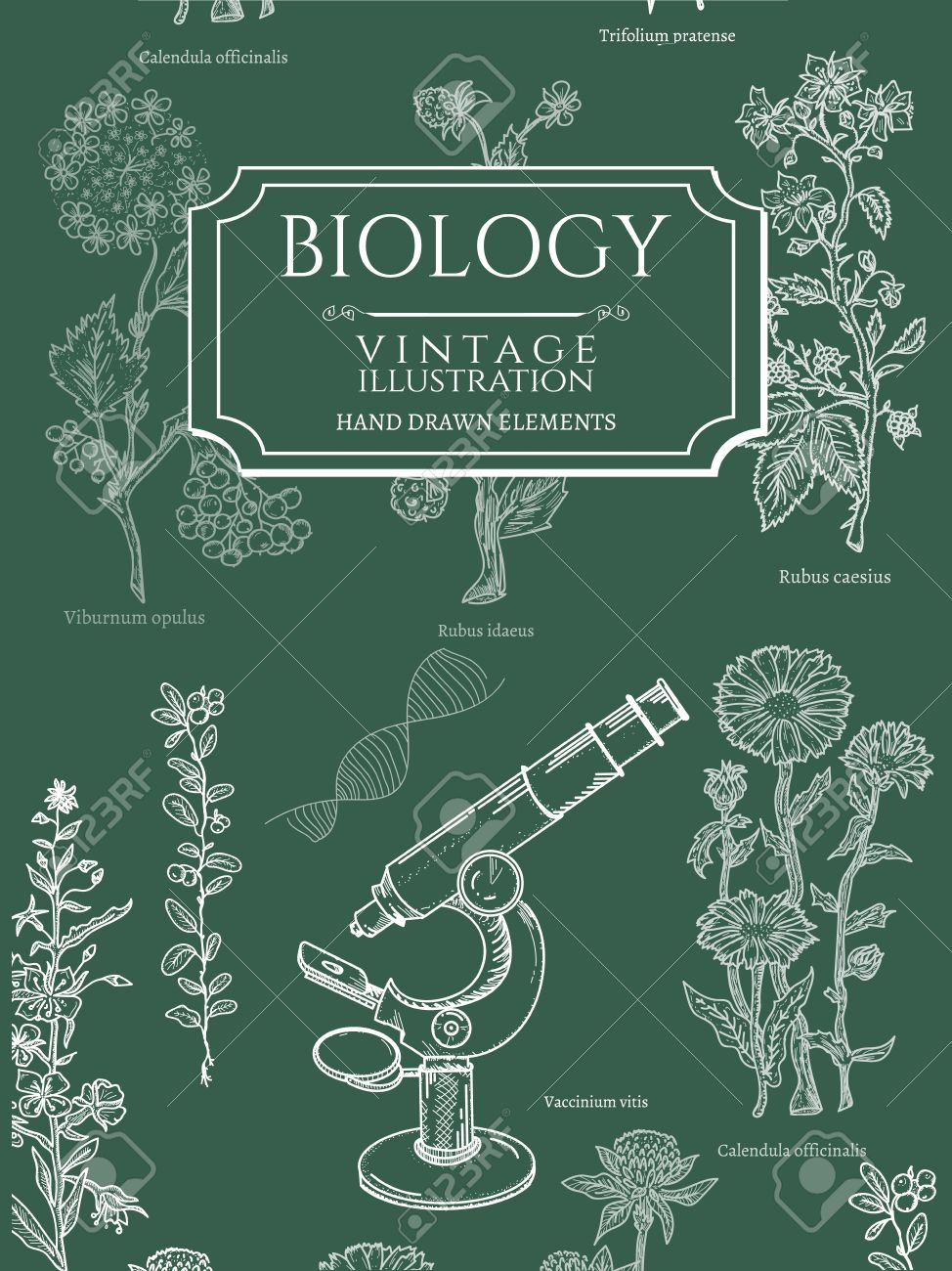 biology book covers template