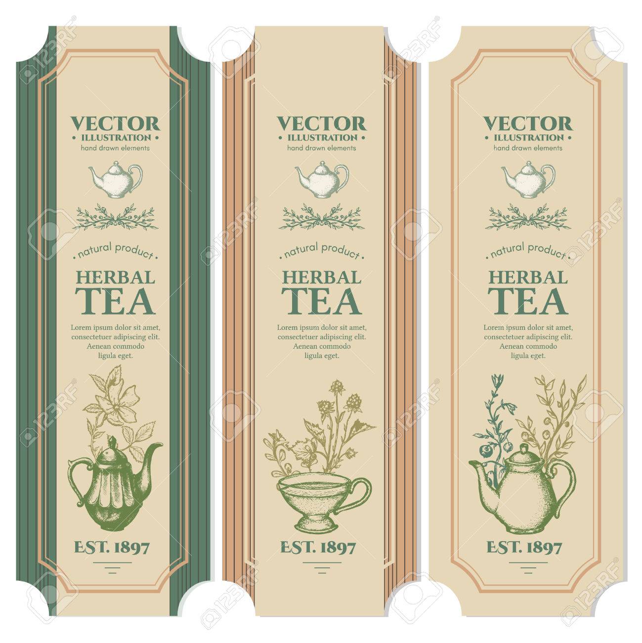 Labels Herbal tea design ink hand drawn vector - 63050074 Labels Herbal tea design ink hand drawn vector - 63050074