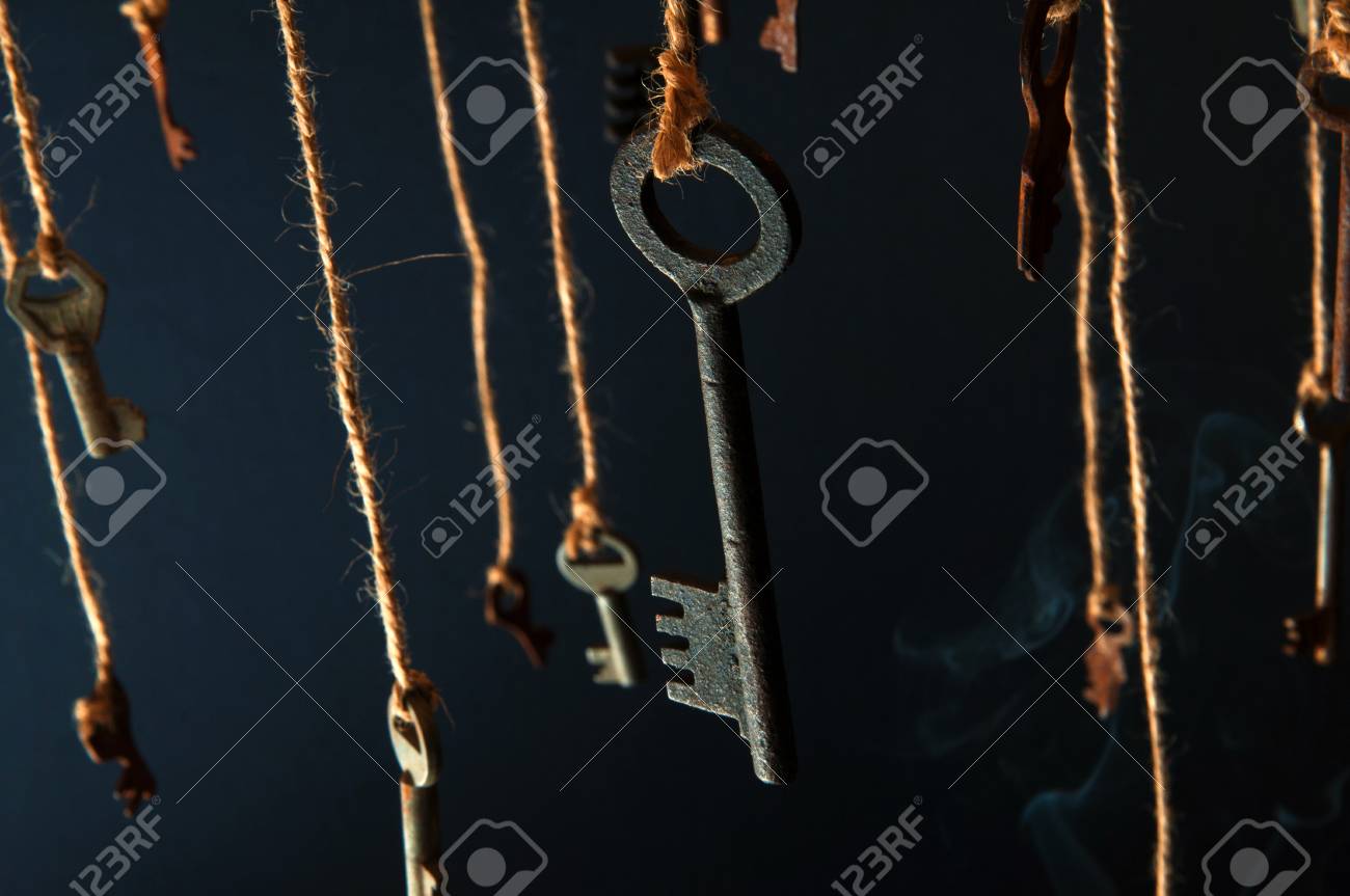 etiam-dictum-ipsum-a-felis