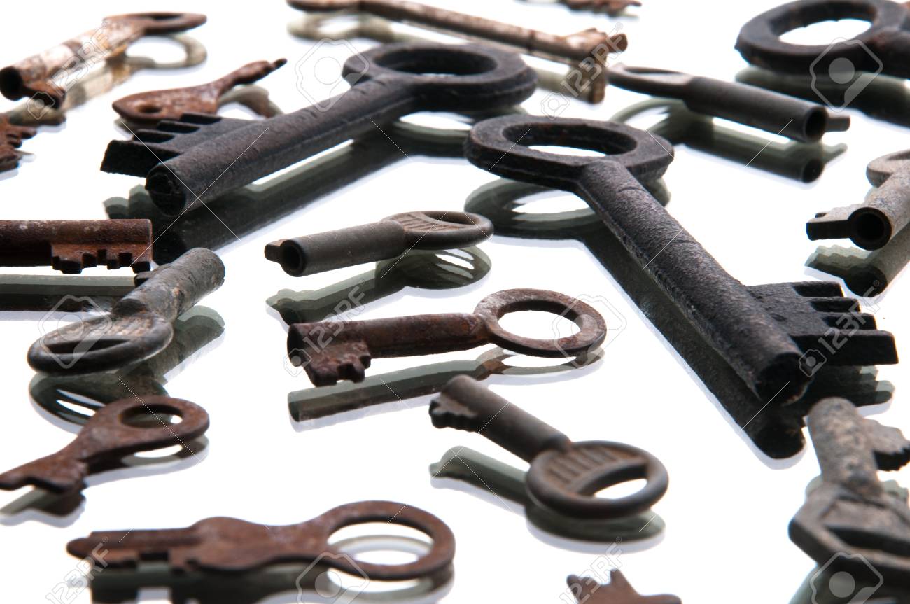 etiam-dictum-ipsum-a-felis