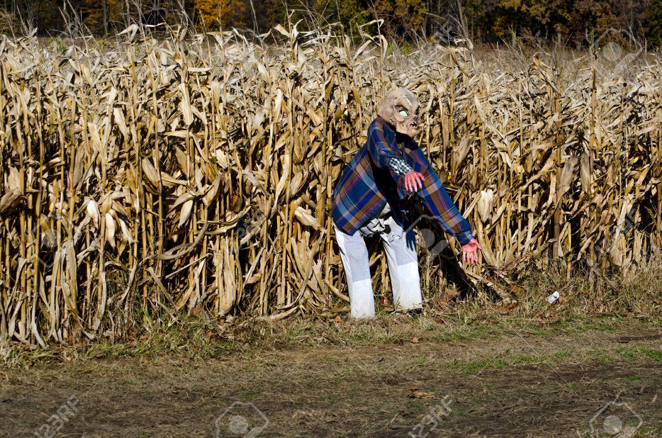 A Fake Alien Stands Guard Outside A Haunted Corn Maze At A Local Stock Photo Picture And Royalty Free Image Image 29525211