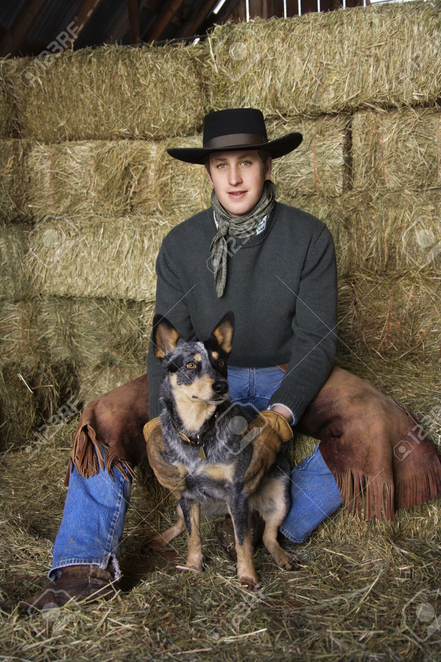 cowboy australian shepherds