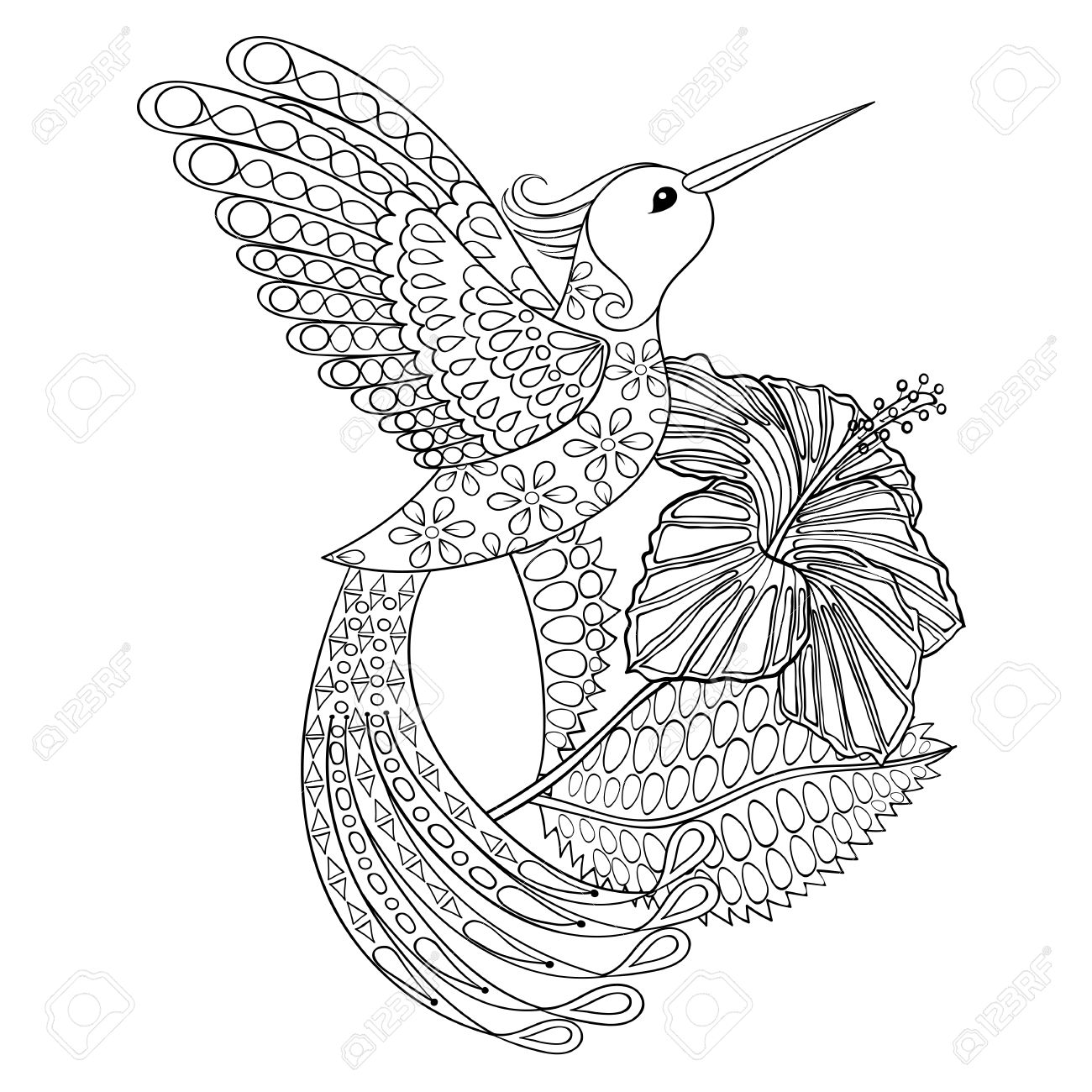 ハチドリと Hibiskus のぬりえ 大人のぬりえ Zentangle Illustartion 書籍や高詳細白い背景で隔離のタトゥーは ベクトル モノクロ スケッチ のイラスト素材 ベクタ Image
