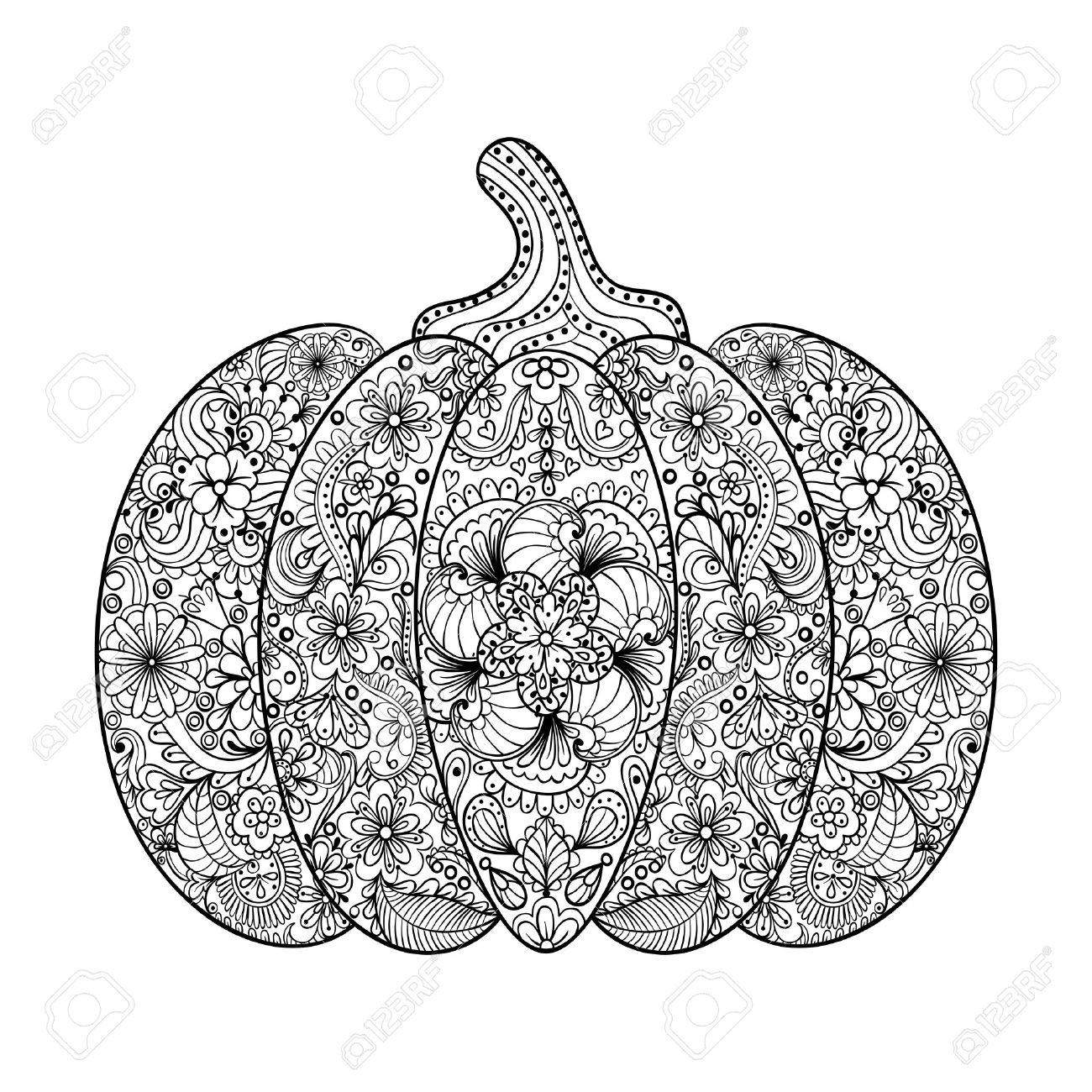 Vector Pumpkin Illustration Hand Drawn Vegetable In Zentangle