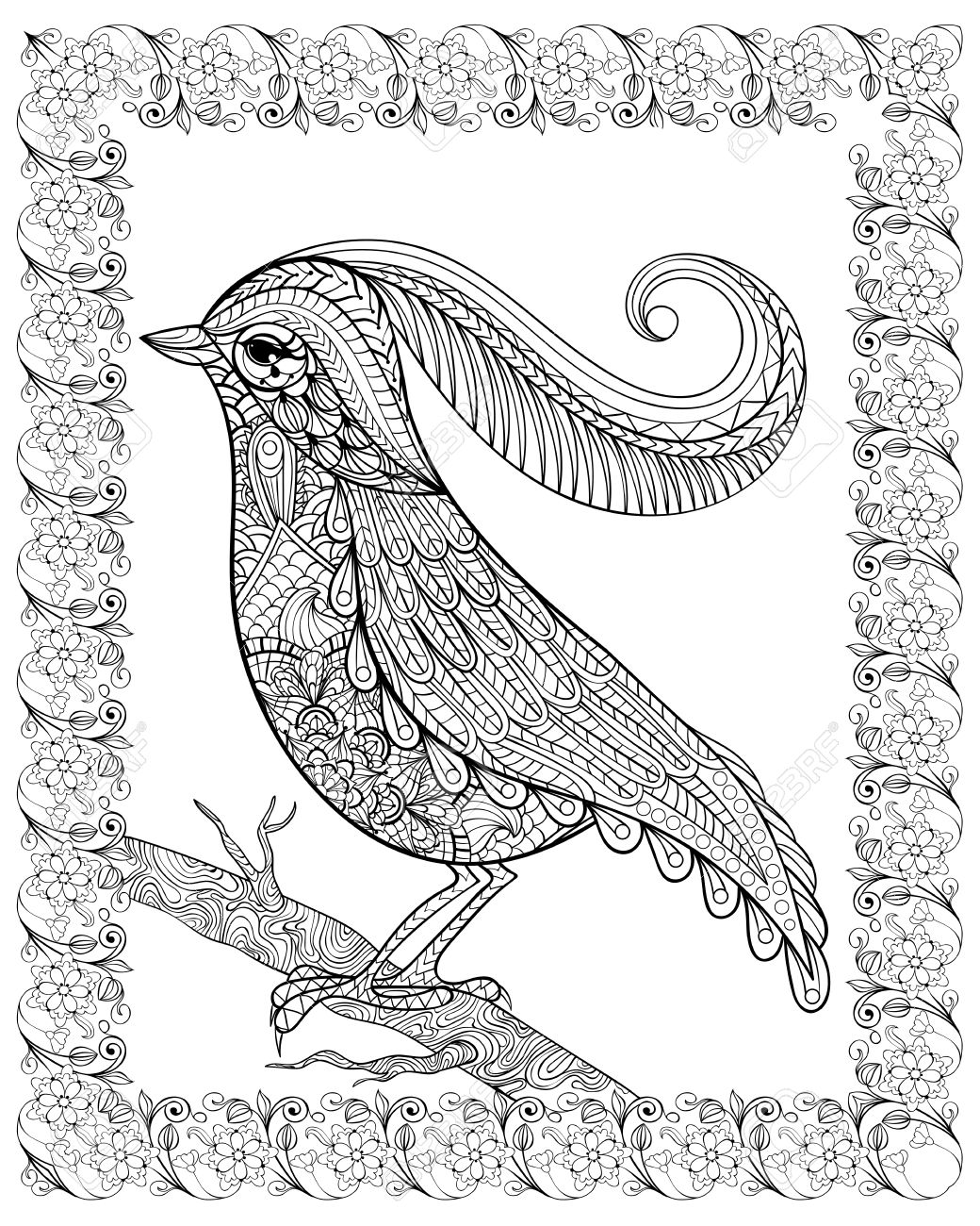 Hand Drawn Bel Oiseau Délicat Assis Sur Une Branche Encadrée Pour Anti Stress Adulte Coloriage Avec Des Détails élevés Isolé Sur Fond Blanc