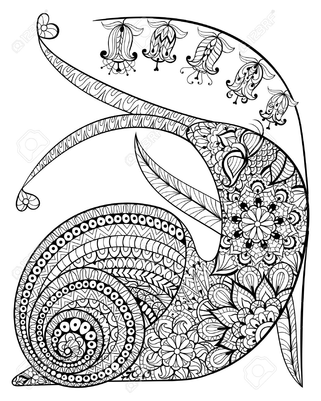 Hand Drawn contenta Escargot et fleur pour anti stress adulte coloriage avec des d tails lev