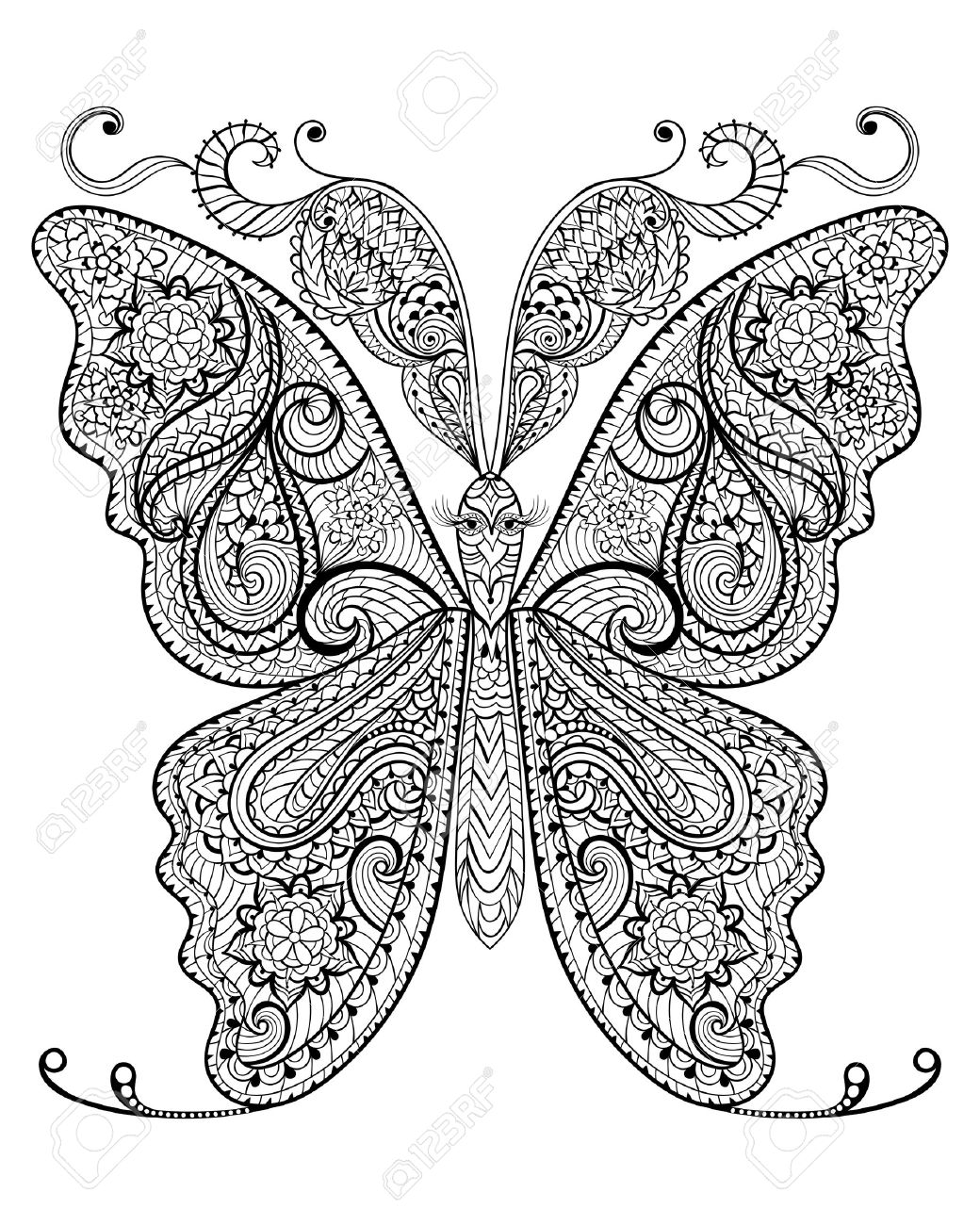 Hand Drawn Magic Butterfly For Adult Anti Stress Coloring Page Hand drawn magic butterfly for adult anti stress Coloring Page with high details isolated on white