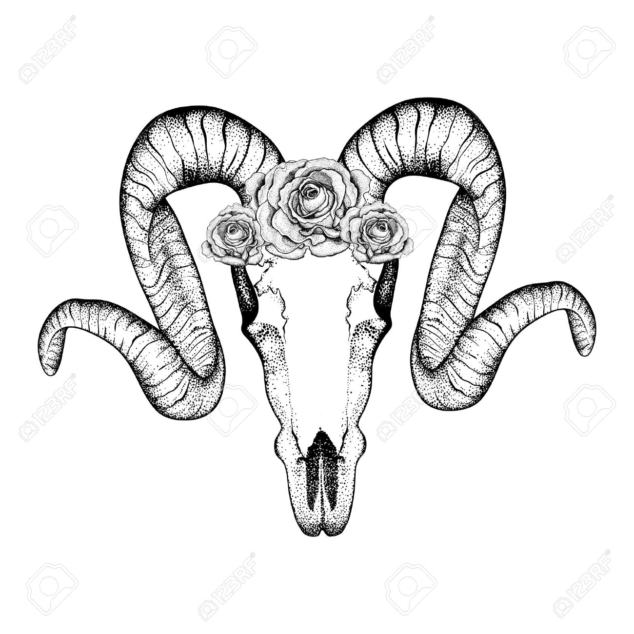 hand drawn goat skull with roses doodle vector illustration hand drawn goat skull with roses doodle vector illustration