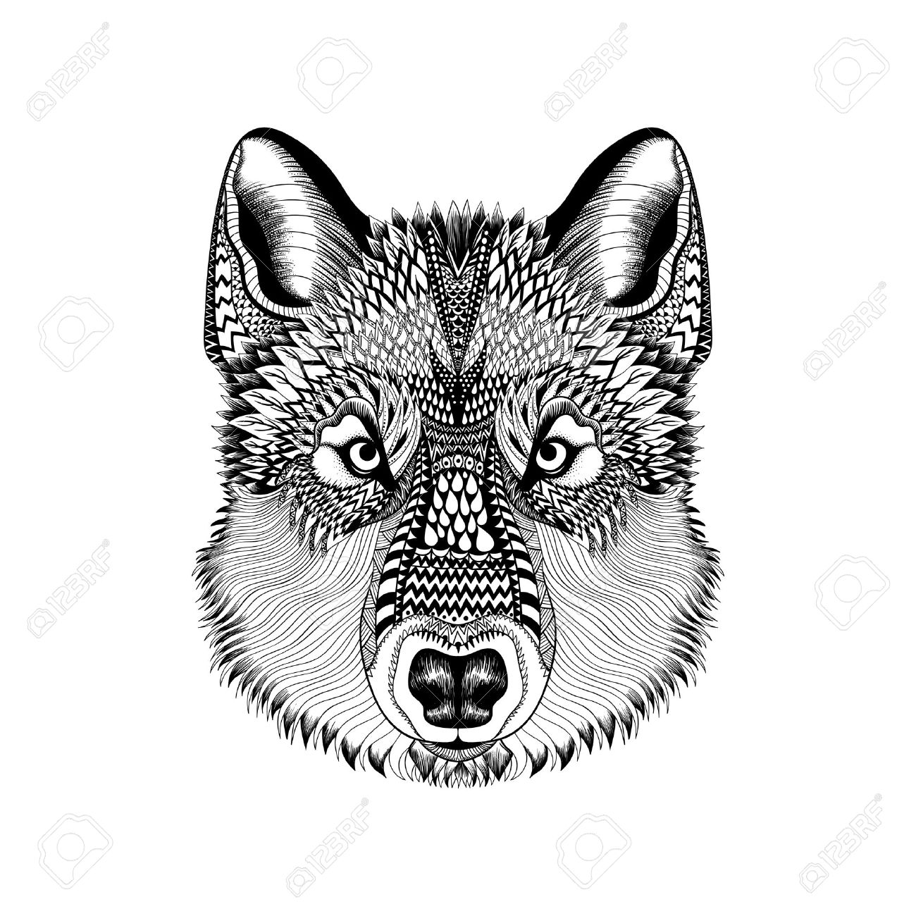 Zentangle Estilizado Cara Del Lobo Dibujados A Mano De La Ilustración Del Vector Del Doodle De Guata Alta Croquis Detallado Para El Tatuaje O