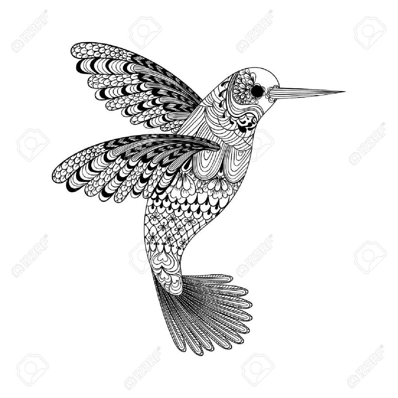 ハチドリ イラスト 白黒 ハチドリ イラスト 白黒 動物画像コレクション