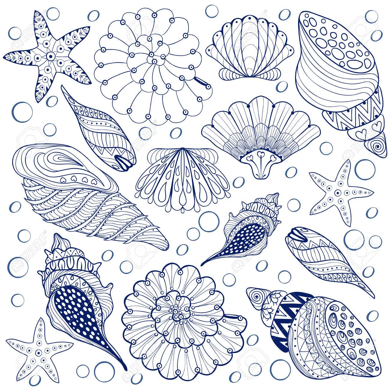 Vector set Shells zentangle blue seashells for adult anti stress Coloring pages patterned sea