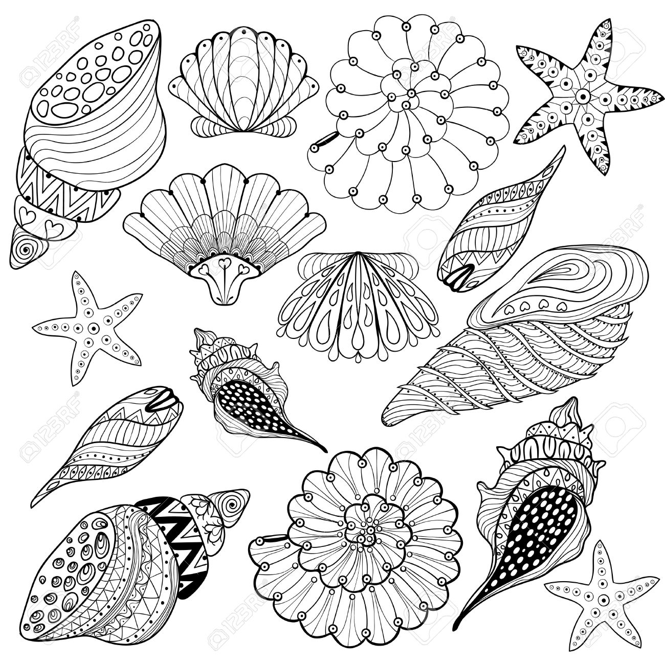 vector conjunto conchas conchas marinas zentangle para colorear