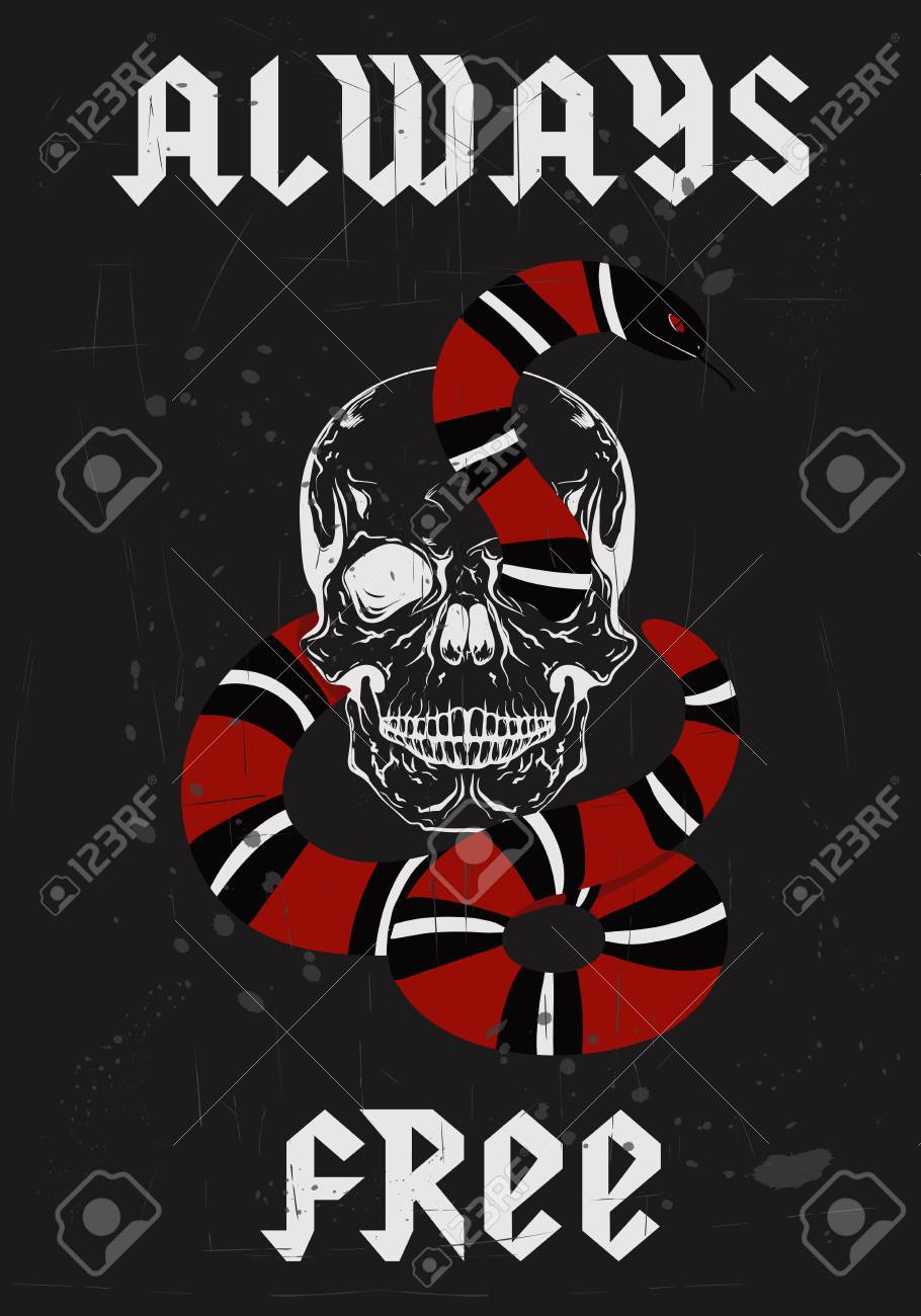 髑髏と蛇のイラストです のイラスト素材 ベクタ Image