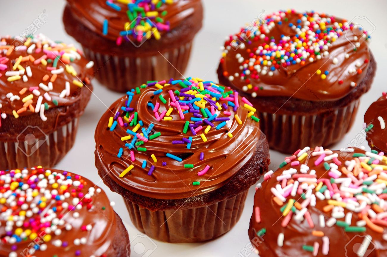 chocolate cupcakes with sprinkles
