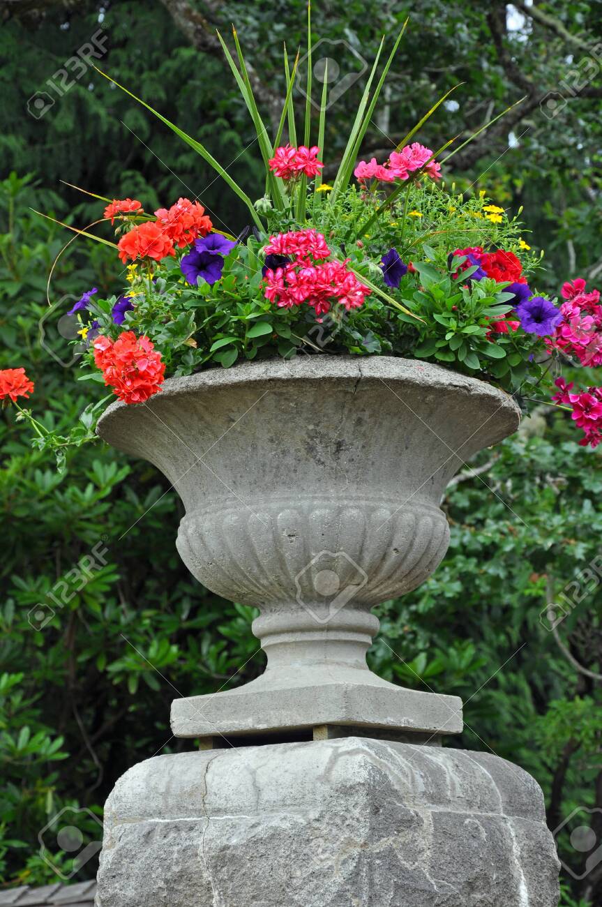 Stone Garden Planter Filled With Geraniums And Petunias
