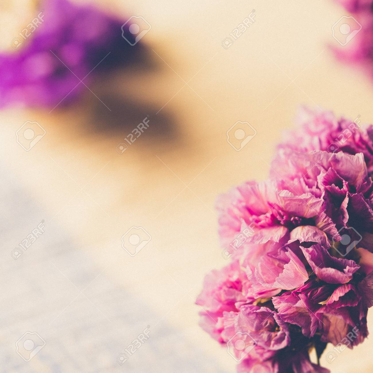 テーブルの背景にヴィンテージ画像スタイル 柔らかな光に野生紫ドライフラワーの花束 の写真素材 画像素材 Image