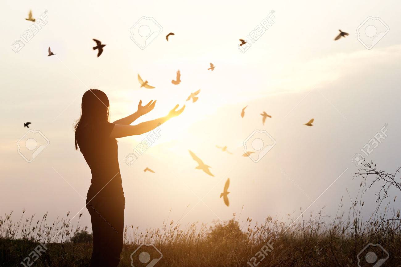 Freedom of life, free bird and woman enjoying nature on sunset background, freedom concept - 60006772 Freedom of life, free bird and woman enjoying nature on sunset background, freedom concept - 60006772