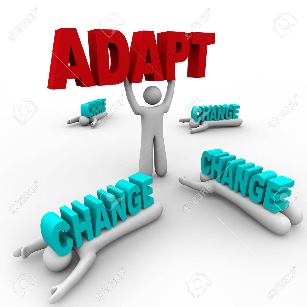 How to Adapt to Changes in a Business Environment recommendations How to Adapt to Changes in a Business Environment recommendations