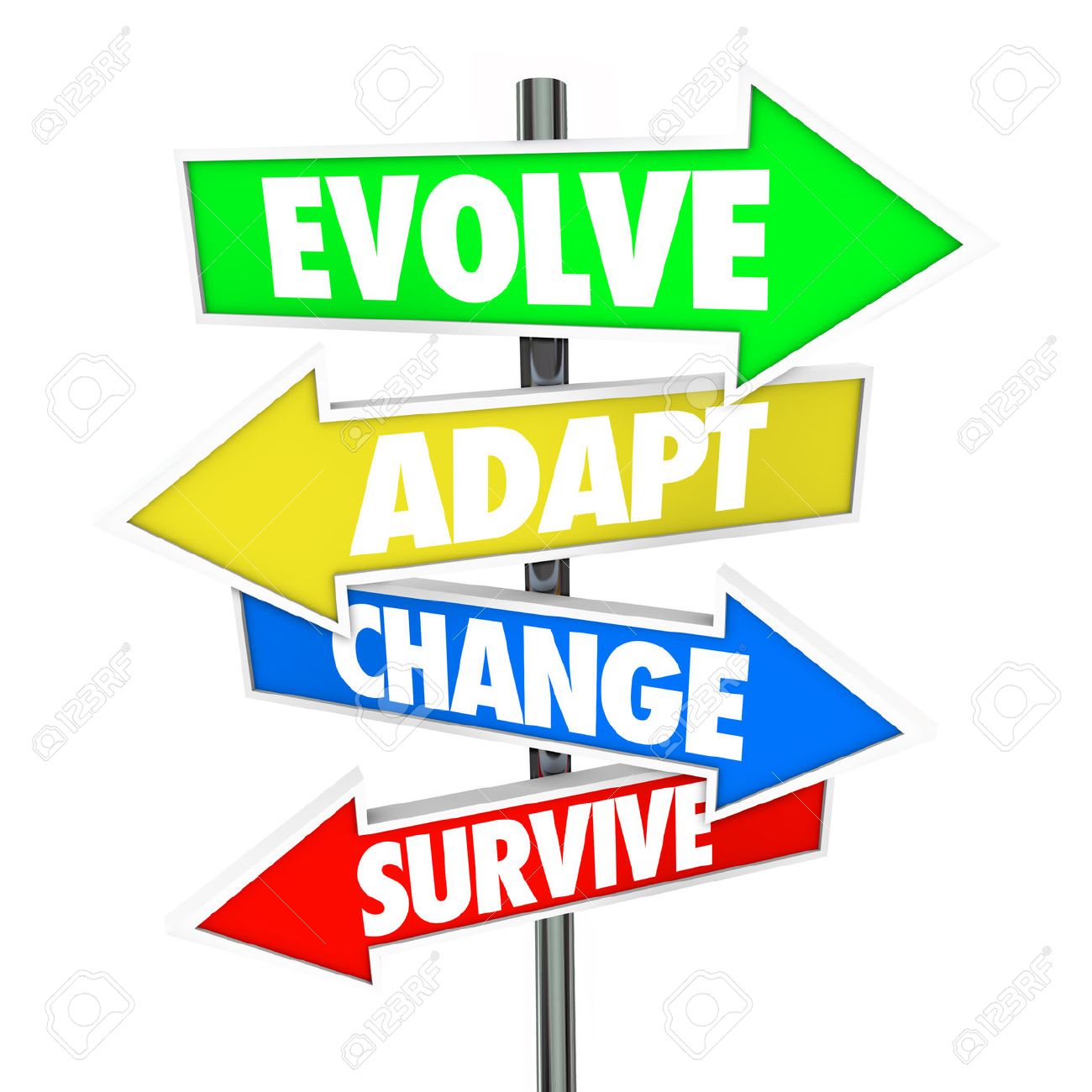 How to Adapt to Changes in a Business Environment How to Adapt to Changes in a Business Environment