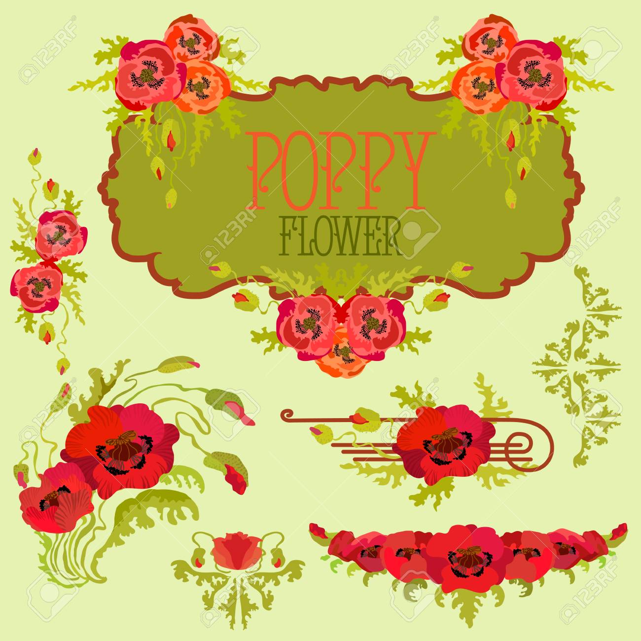 poppy flower template elements set bouquets and garlands and