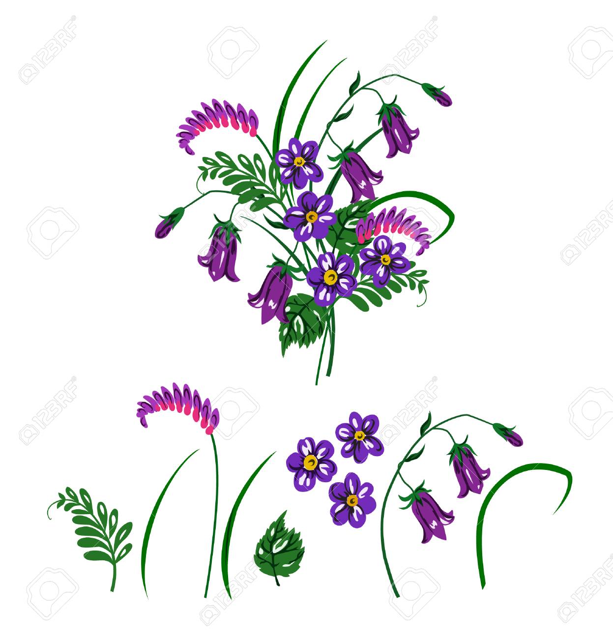 紫と青の野生の花から作られた花束のベクター イラストです ブルーベル カモミール 緑の芝生と白い背景の葉 のイラスト素材 ベクタ Image 紫と青の野生の花から作られた花束のベクター イラストです ブルーベル カモミール 緑の芝生と白い背景の葉 のイラスト素材 ベクタ Image