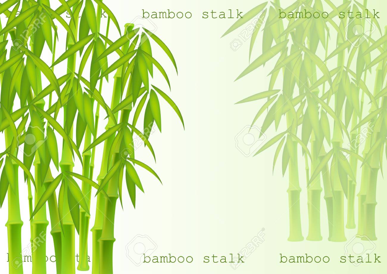 Abstract Background Of Bamboo Trees. Bamboo Stalks. Vector Illustration Of  Tropical Plants For Your Design. Royalty Free SVG, Cliparts, Vectors, and  Stock Illustration. Image 126941652., image size:1300x921